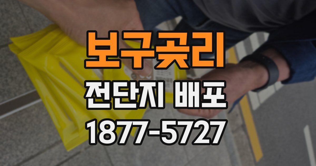 보구곶리 전단지 배포
