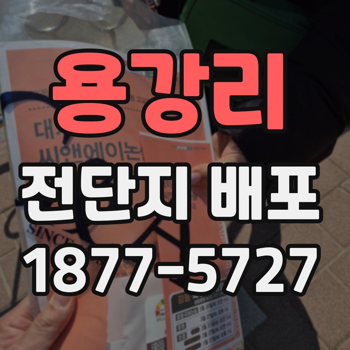 용강리 전단지 배포