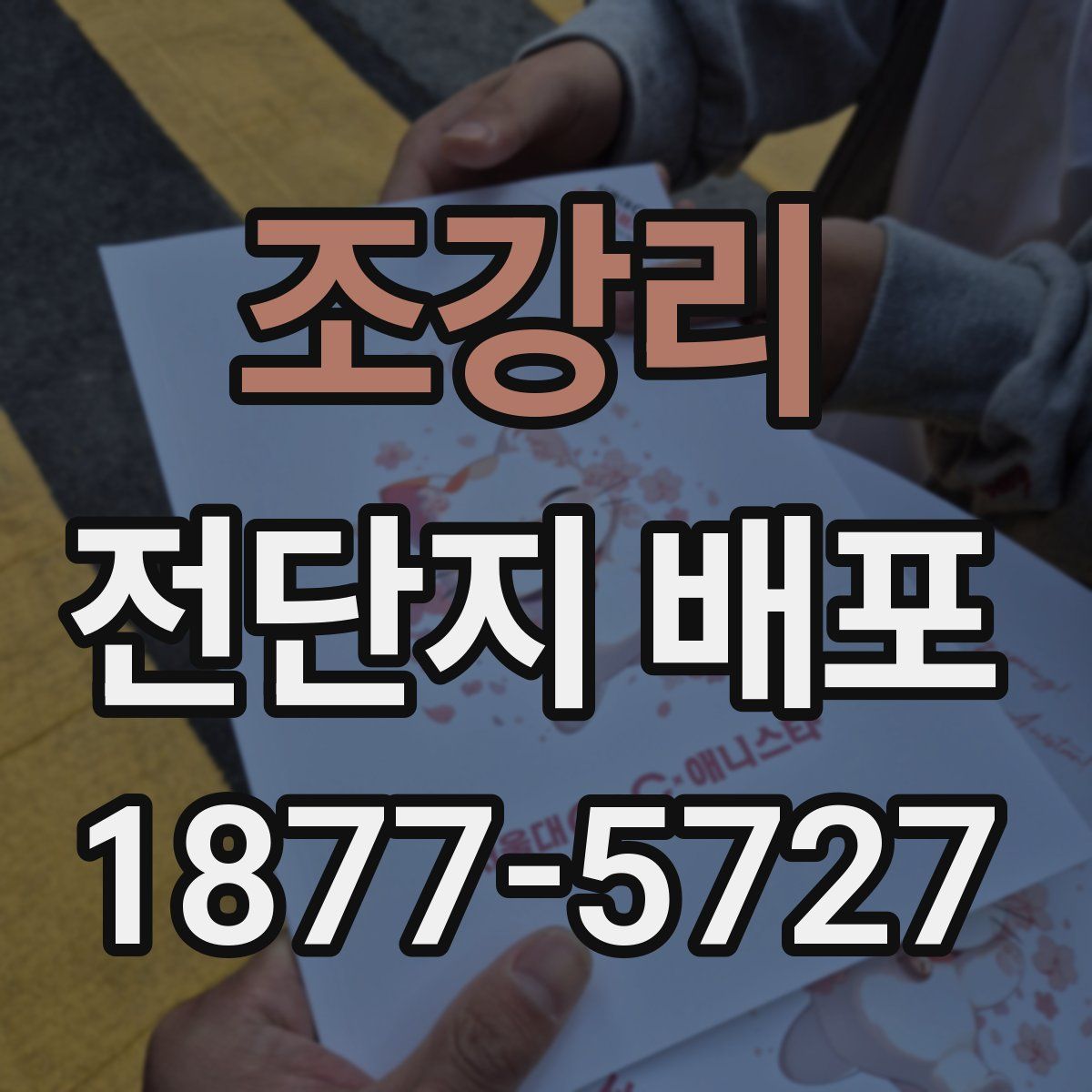 조강리 전단지 배포