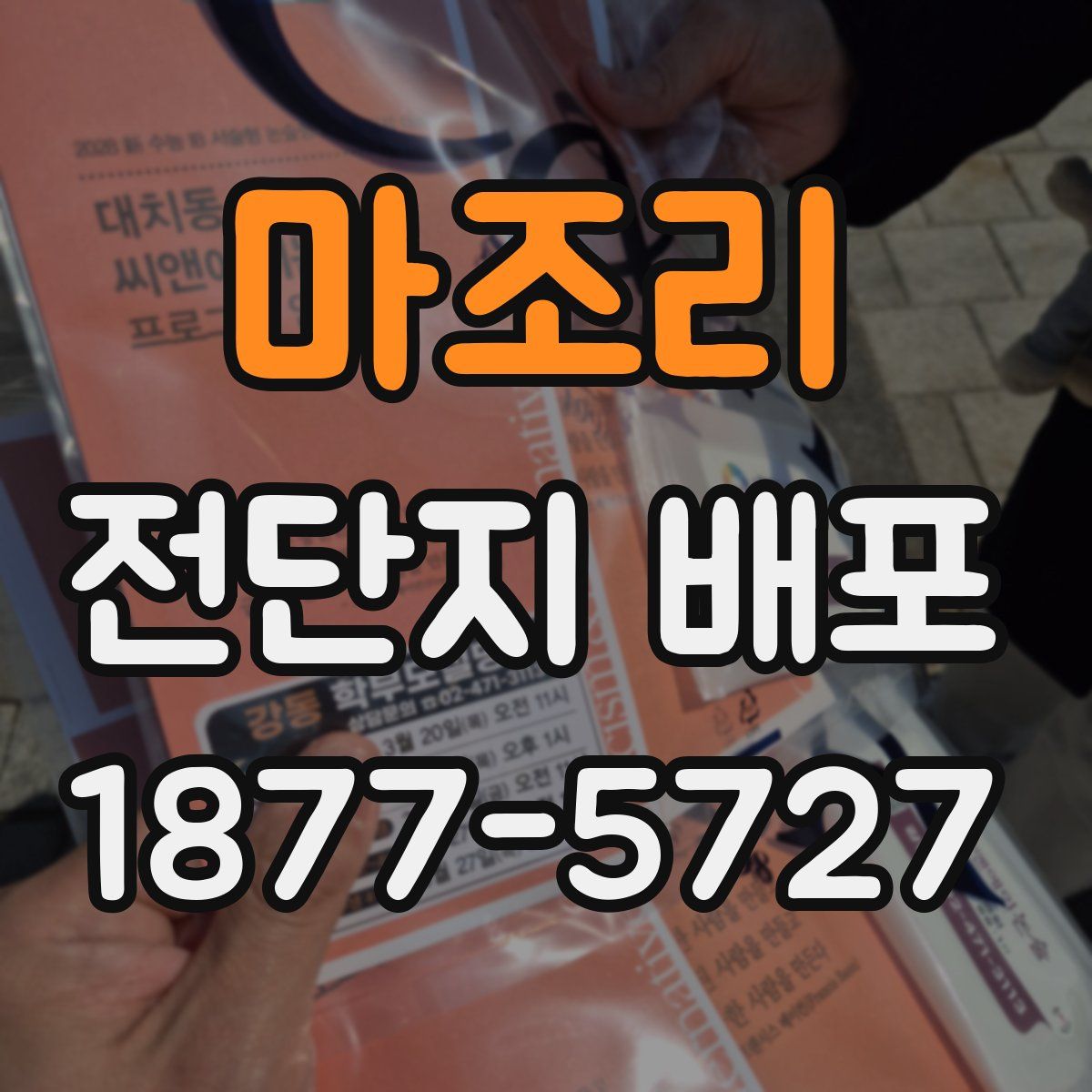마조리 전단지 배포