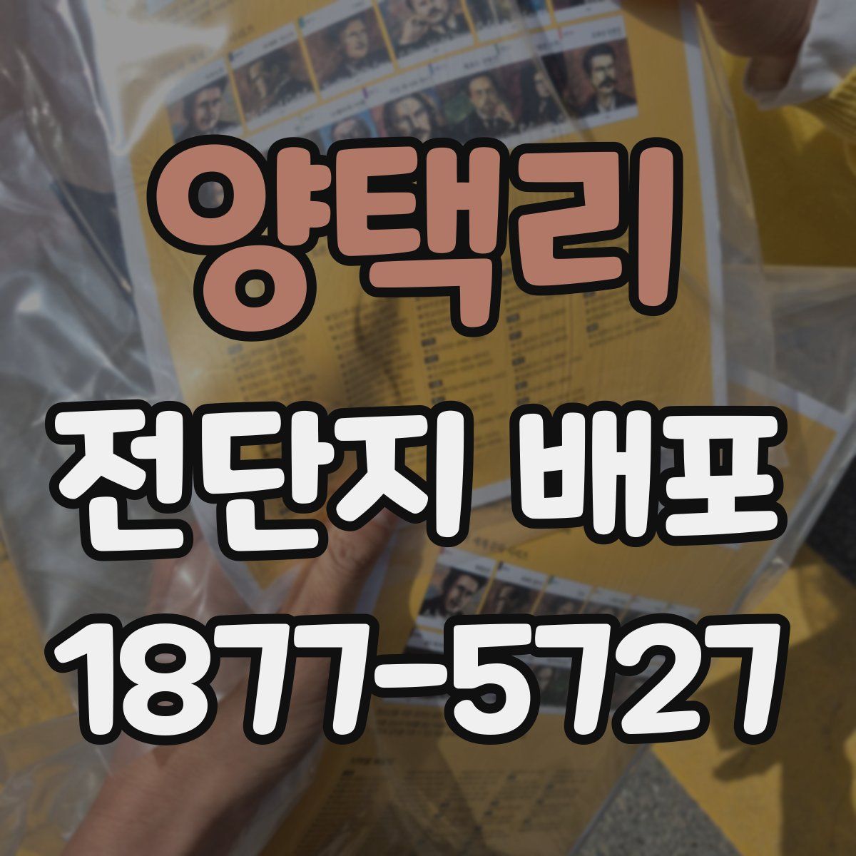 양택리 전단지 배포