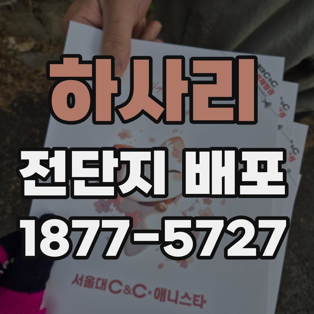 하사리 전단지 배포