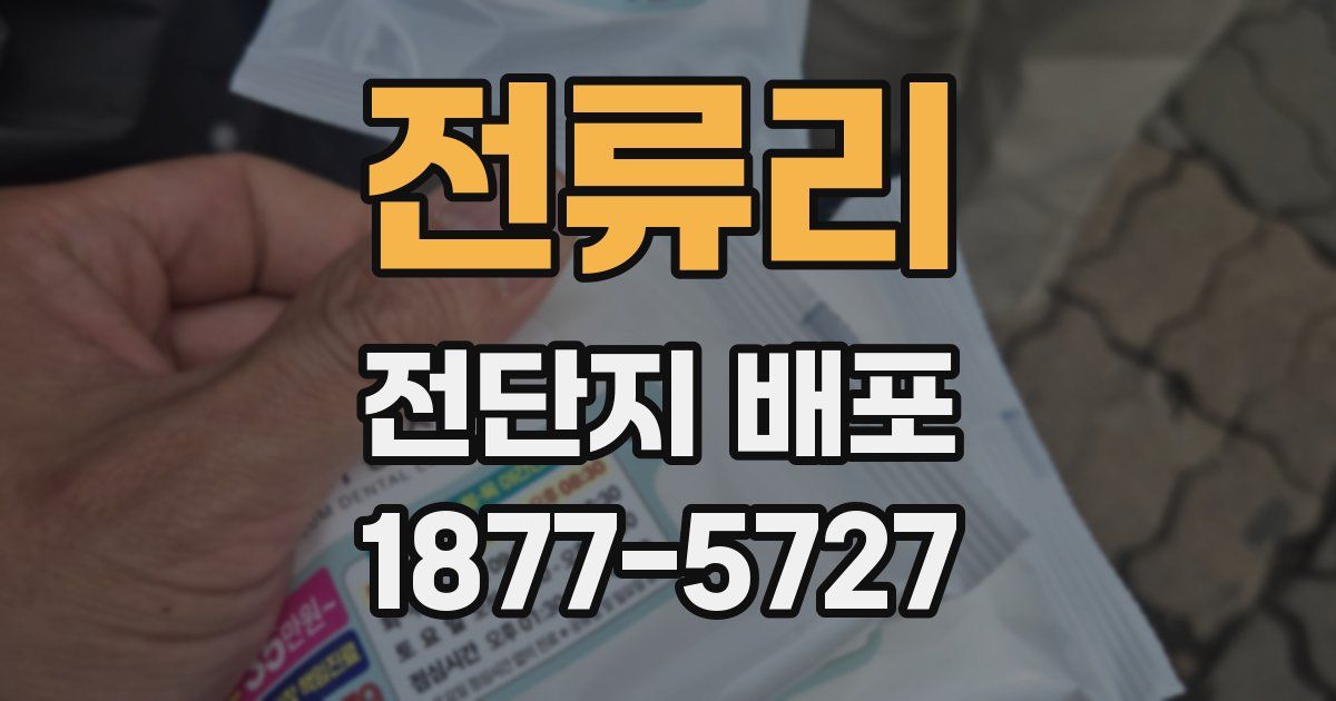 전류리 전단지 배포