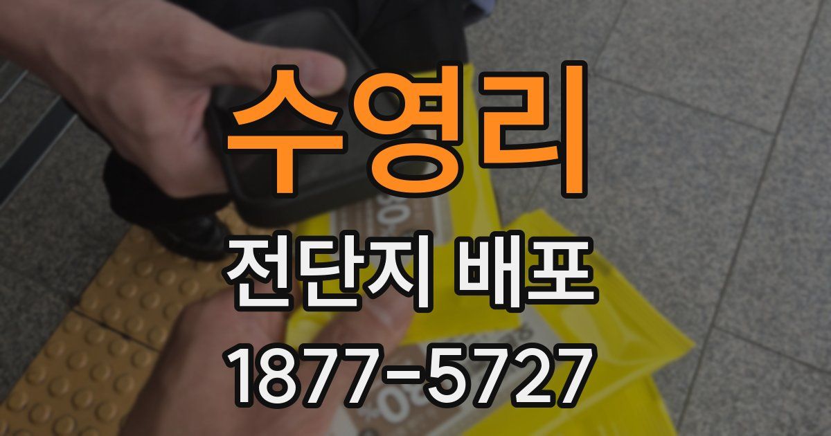 수영리 전단지 배포