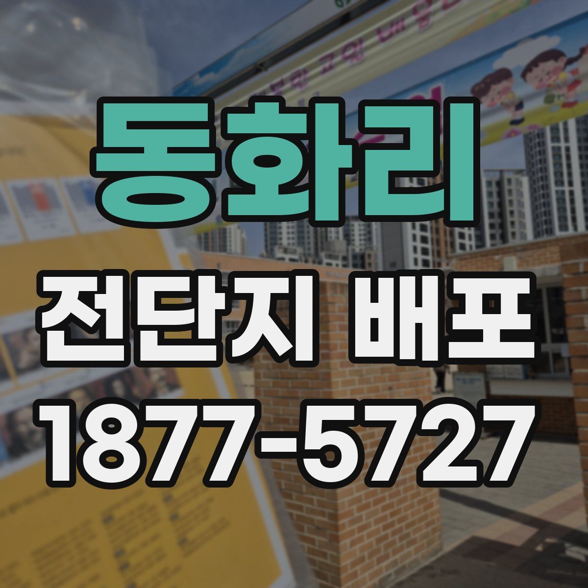 동화리 전단지 배포