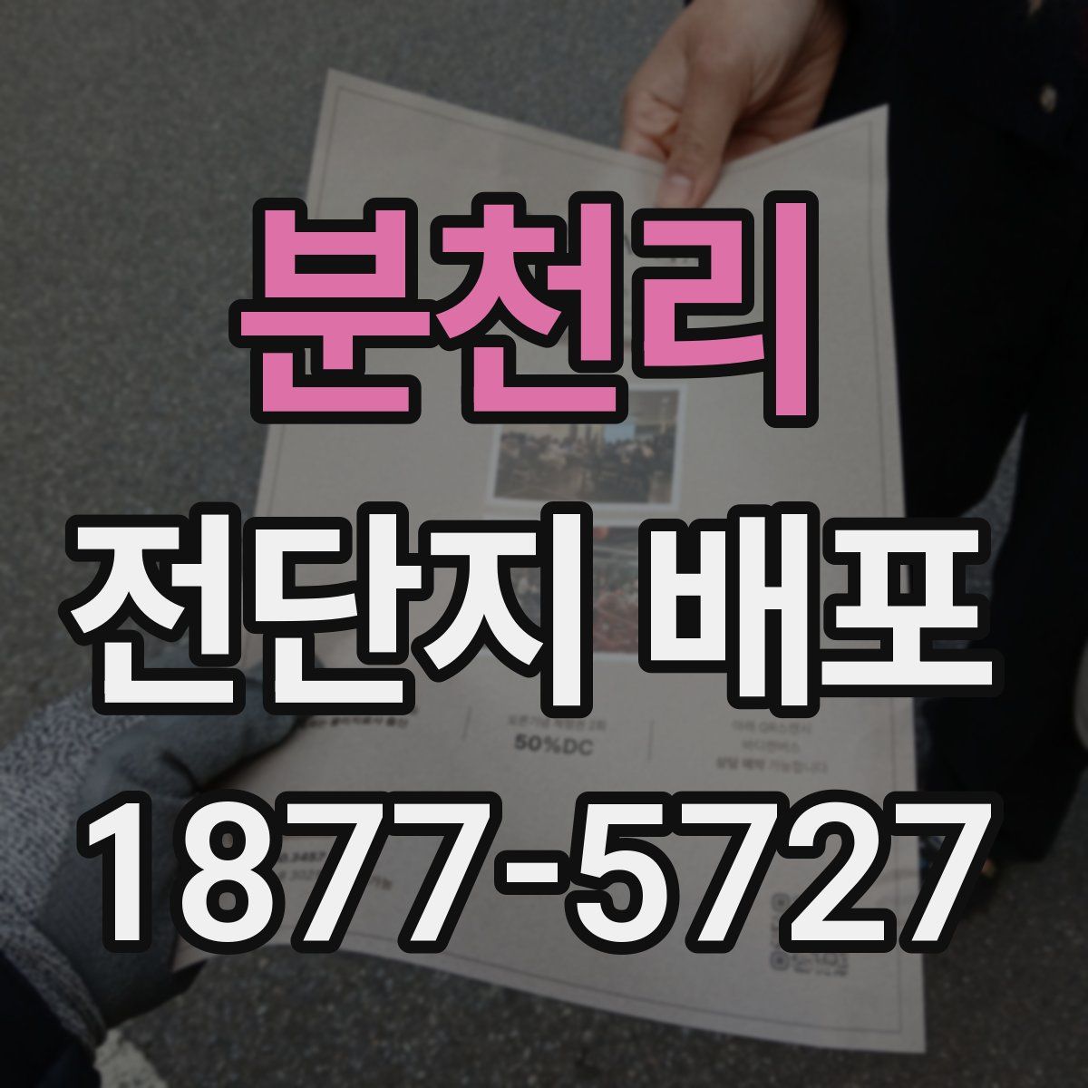 분천리 전단지 배포
