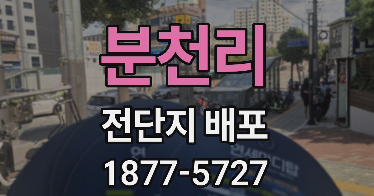 분천리 전단지 배포