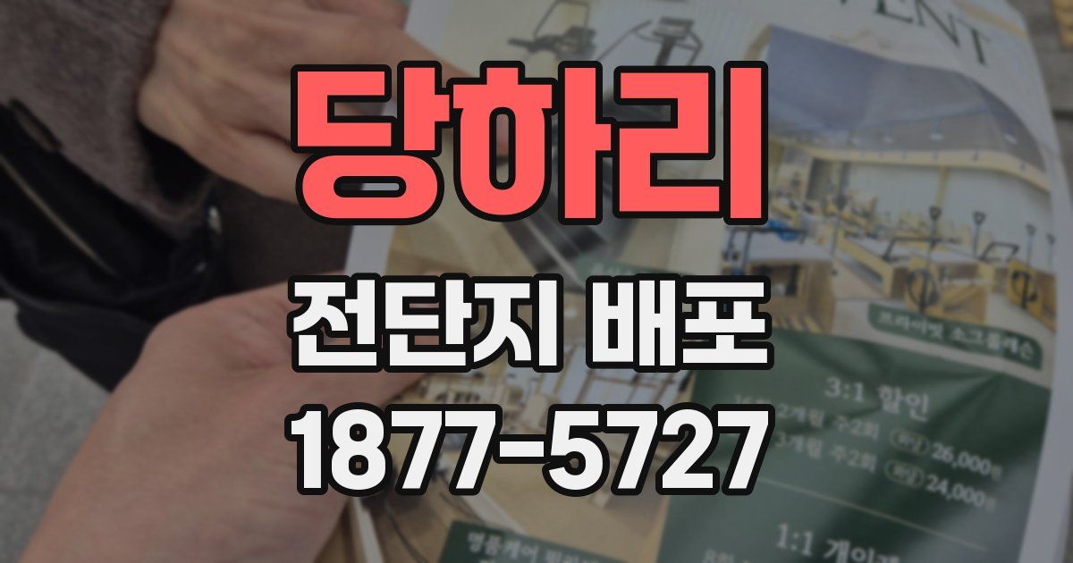 당하리 전단지 배포