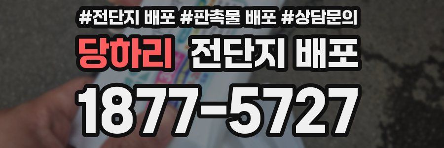 당하리 전단지 배포