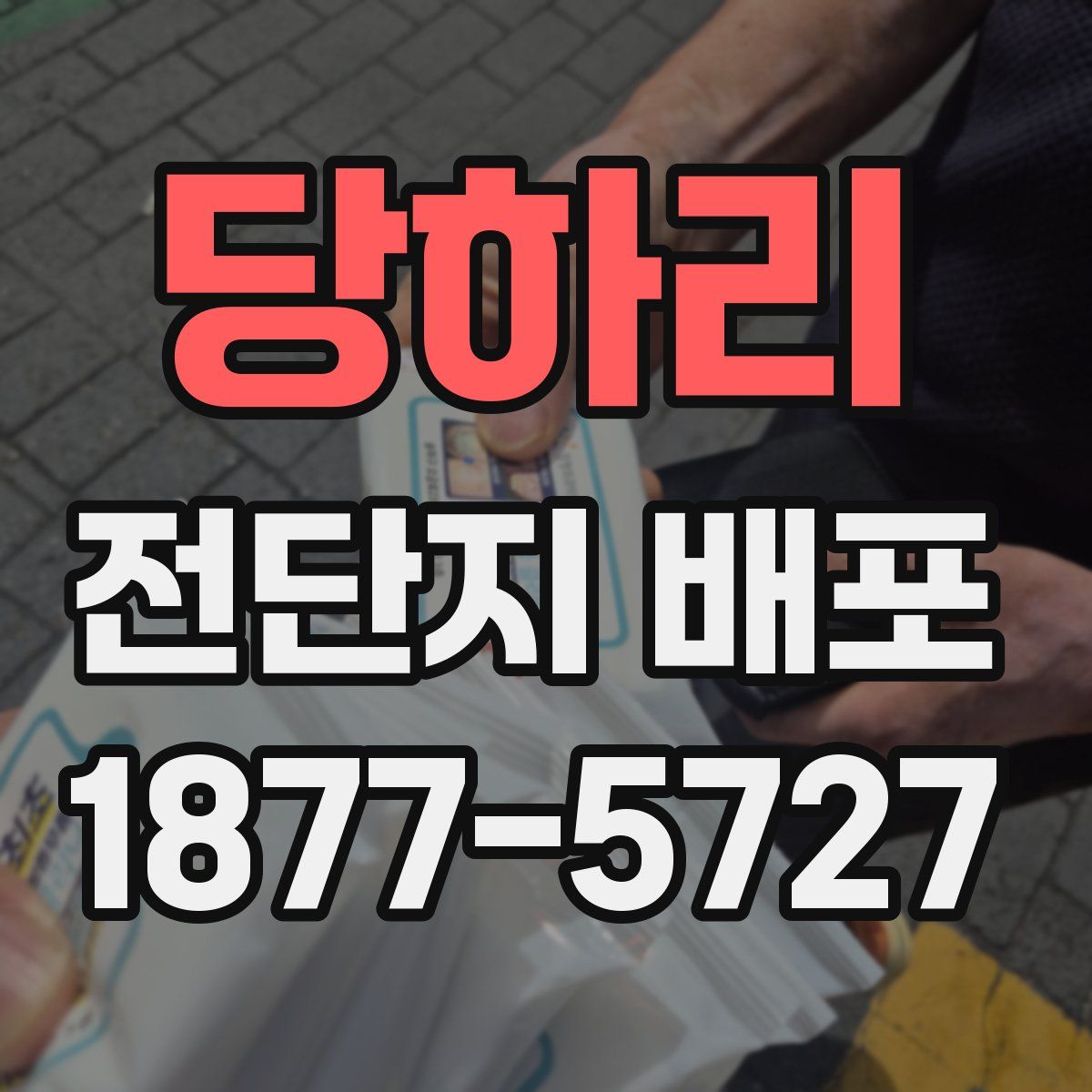 당하리 전단지 배포