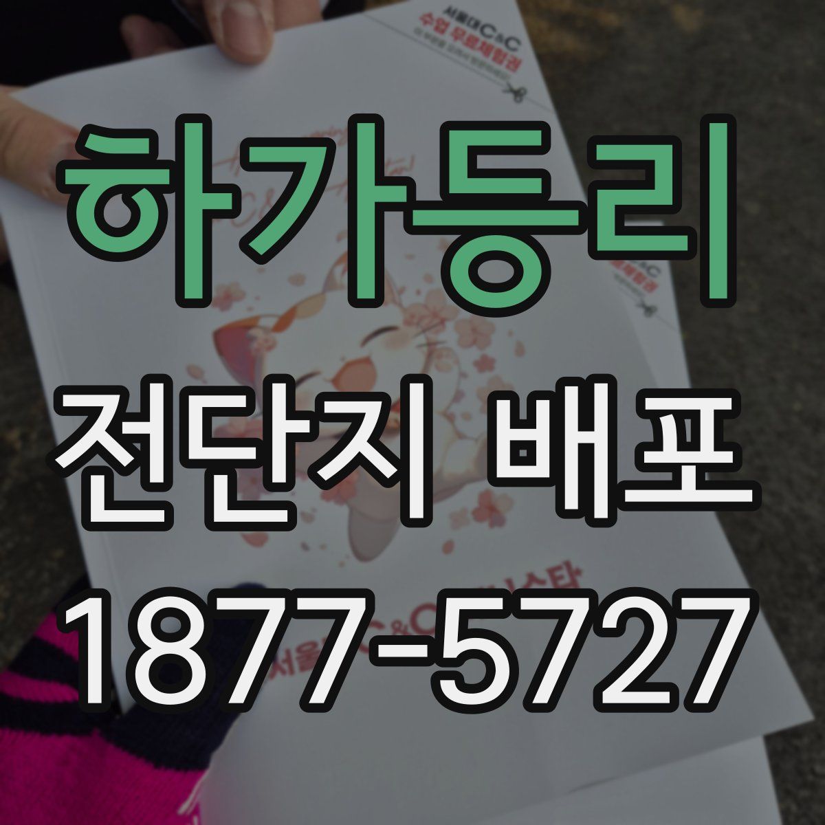 하가등리 전단지 배포