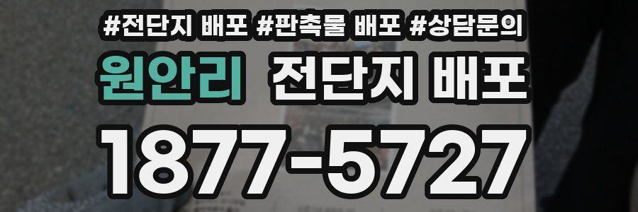 원안리 전단지 배포