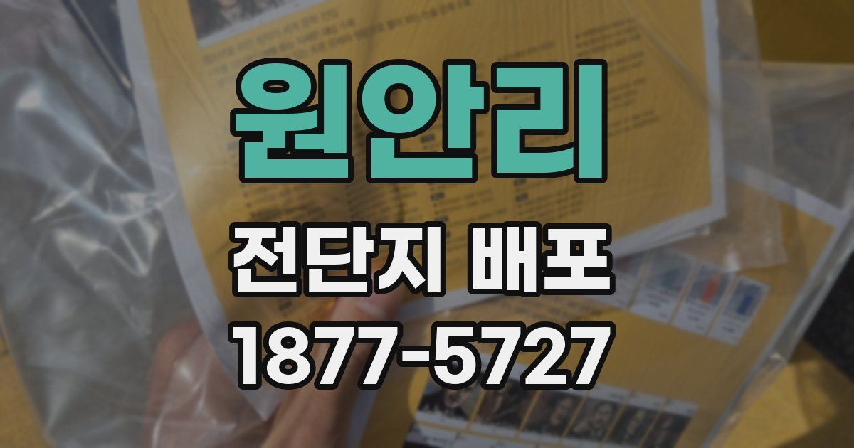 원안리 전단지 배포