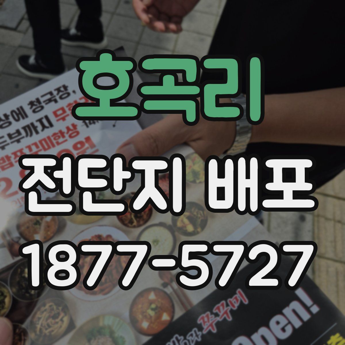 호곡리 전단지 배포