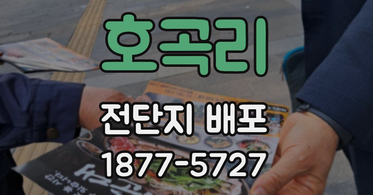 호곡리 전단지 배포
