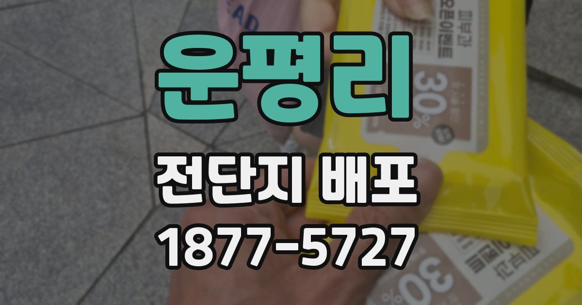 운평리 전단지 배포