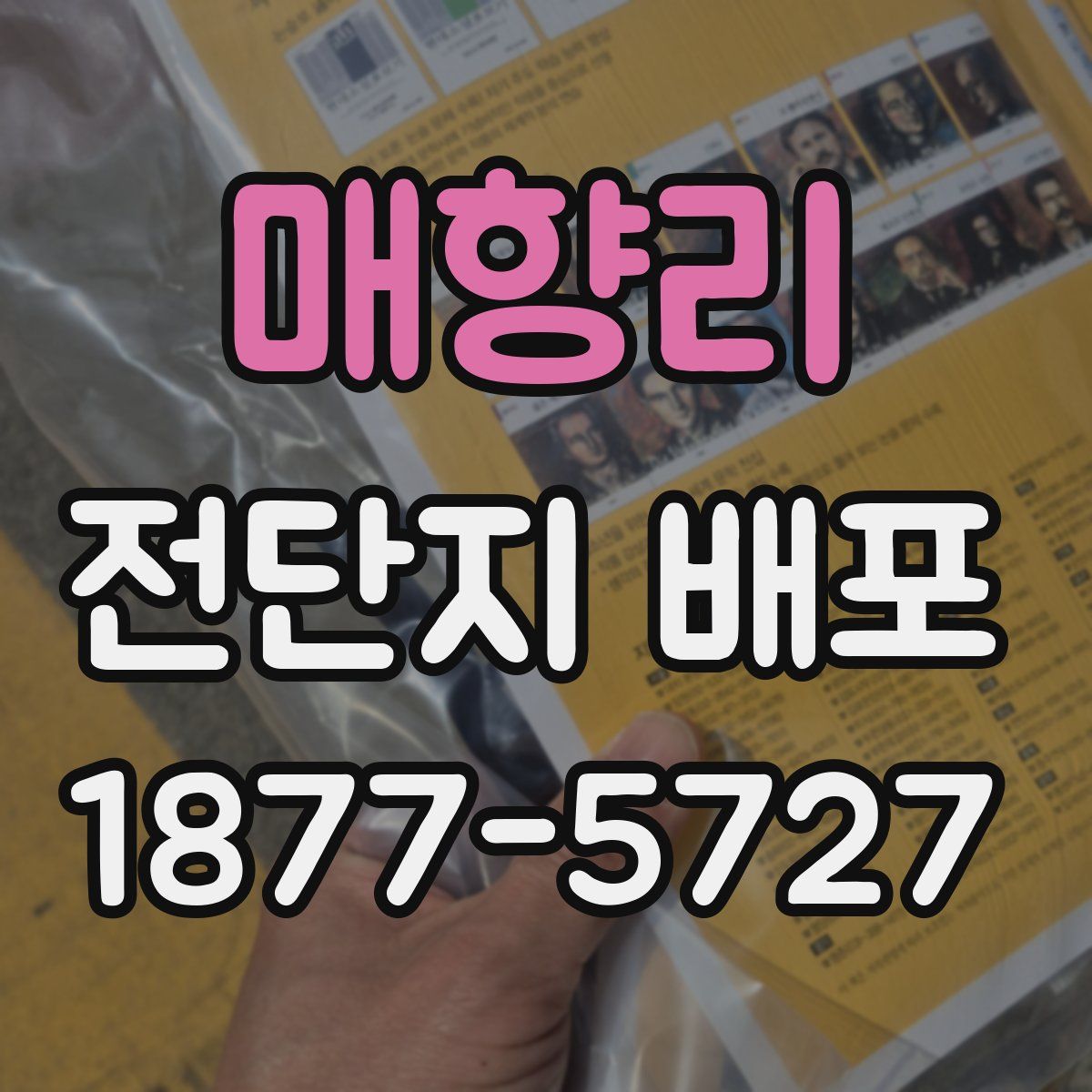 매향리 전단지 배포