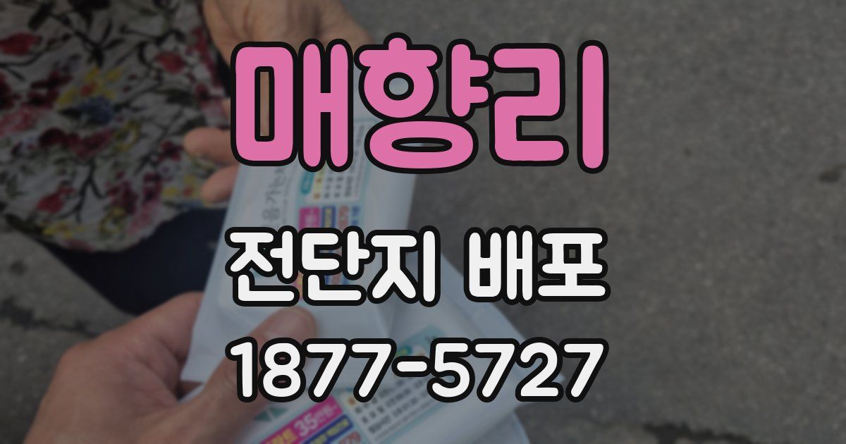 매향리 전단지 배포