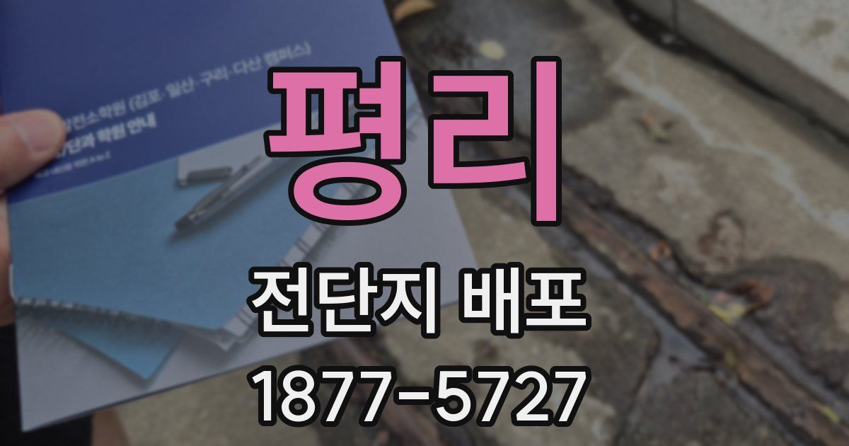 평리 전단지 배포