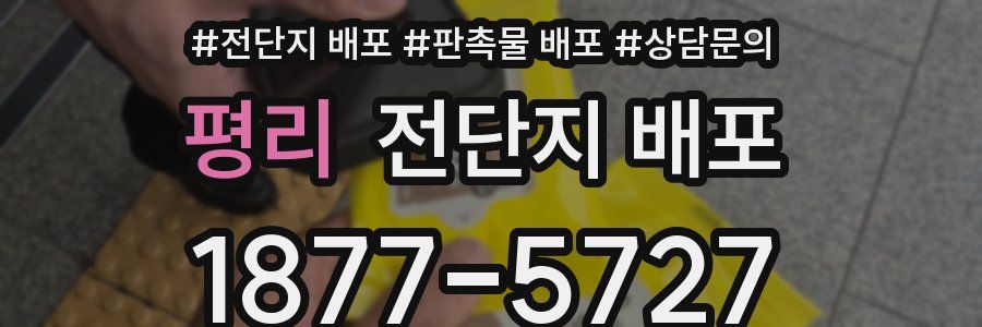 평리 전단지 배포