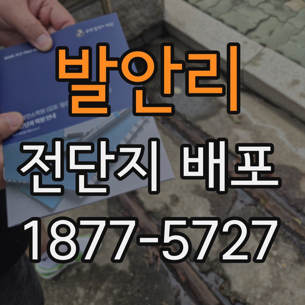 발안리 전단지 배포
