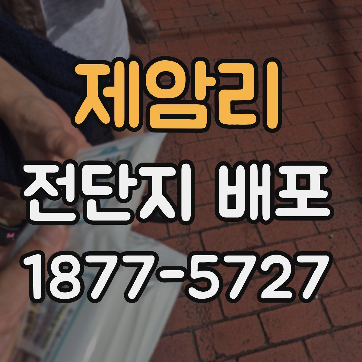 제암리 전단지 배포