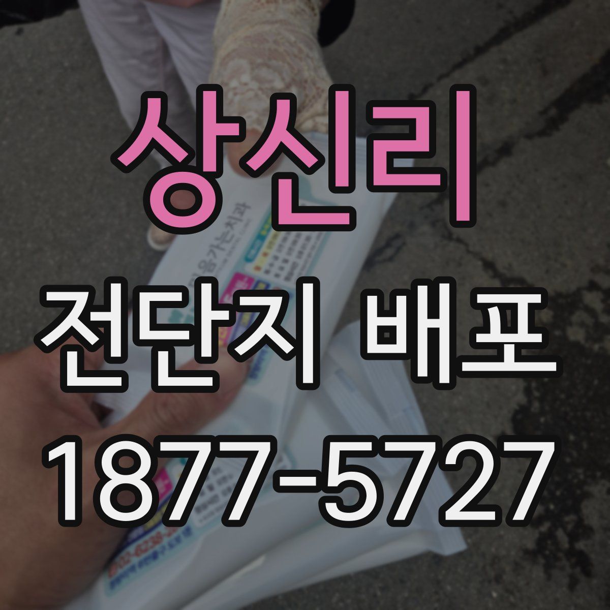 상신리 전단지 배포