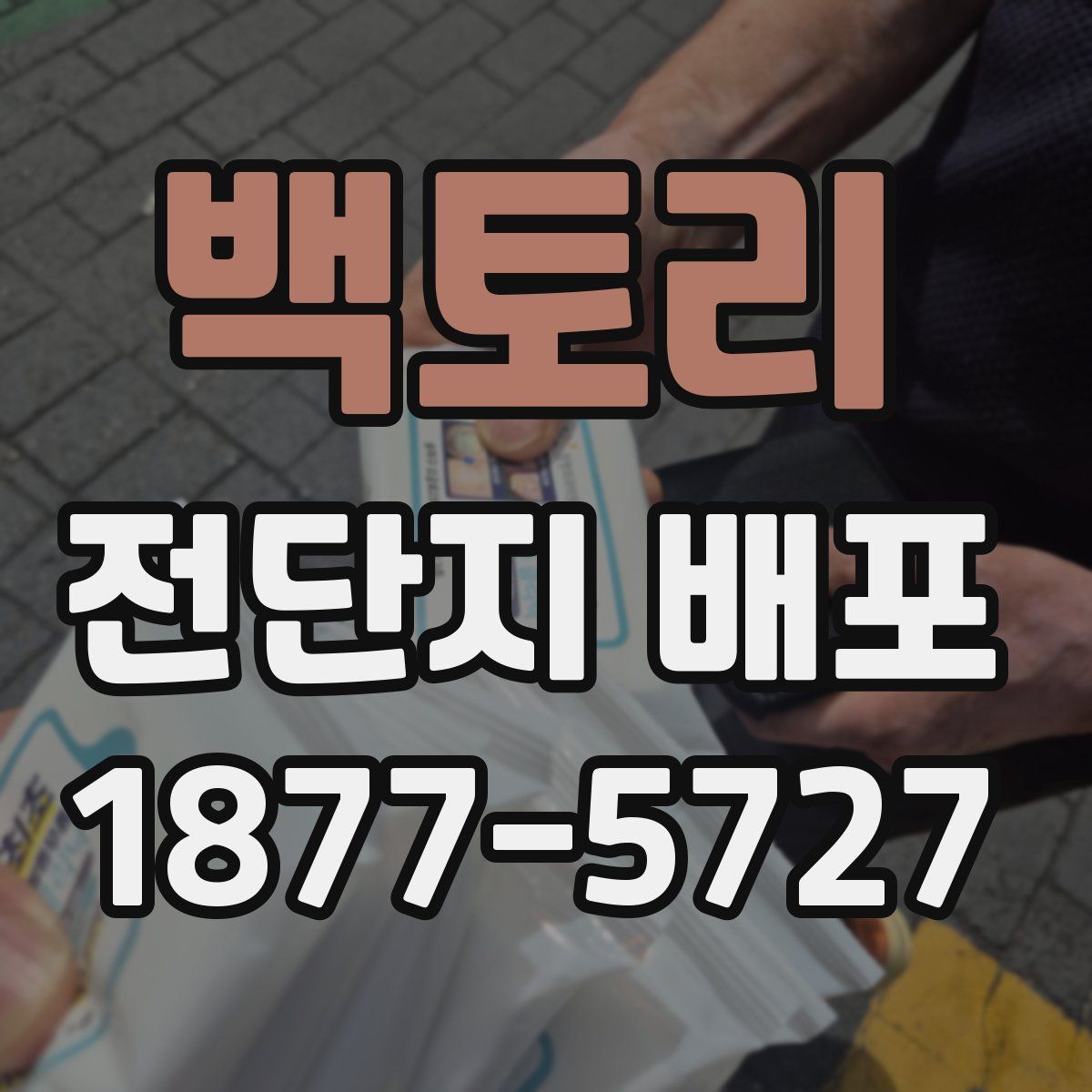 백토리 전단지 배포