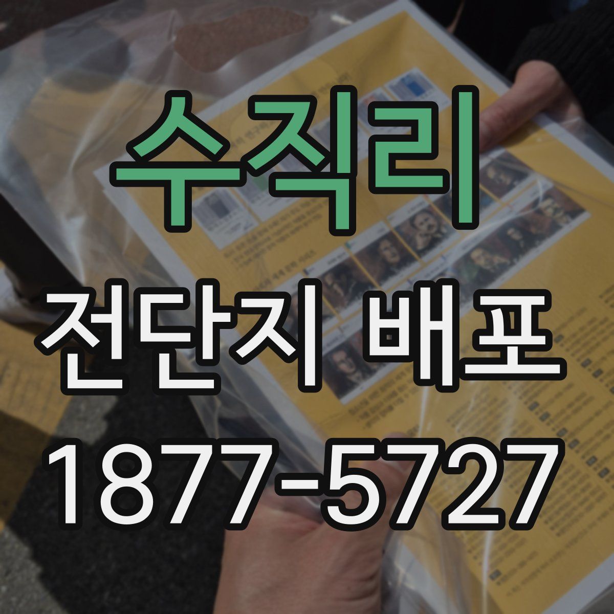 수직리 전단지 배포