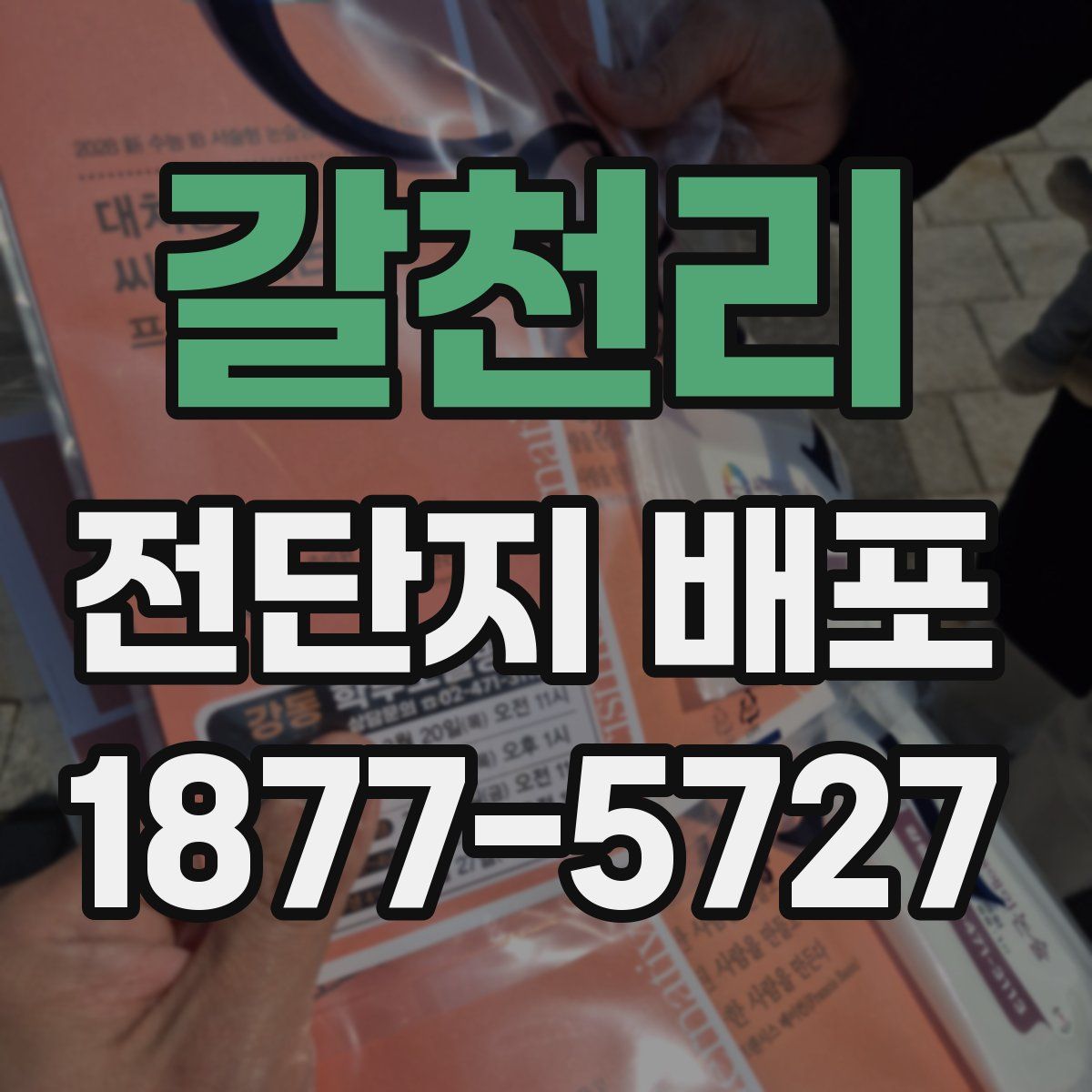 갈천리 전단지 배포