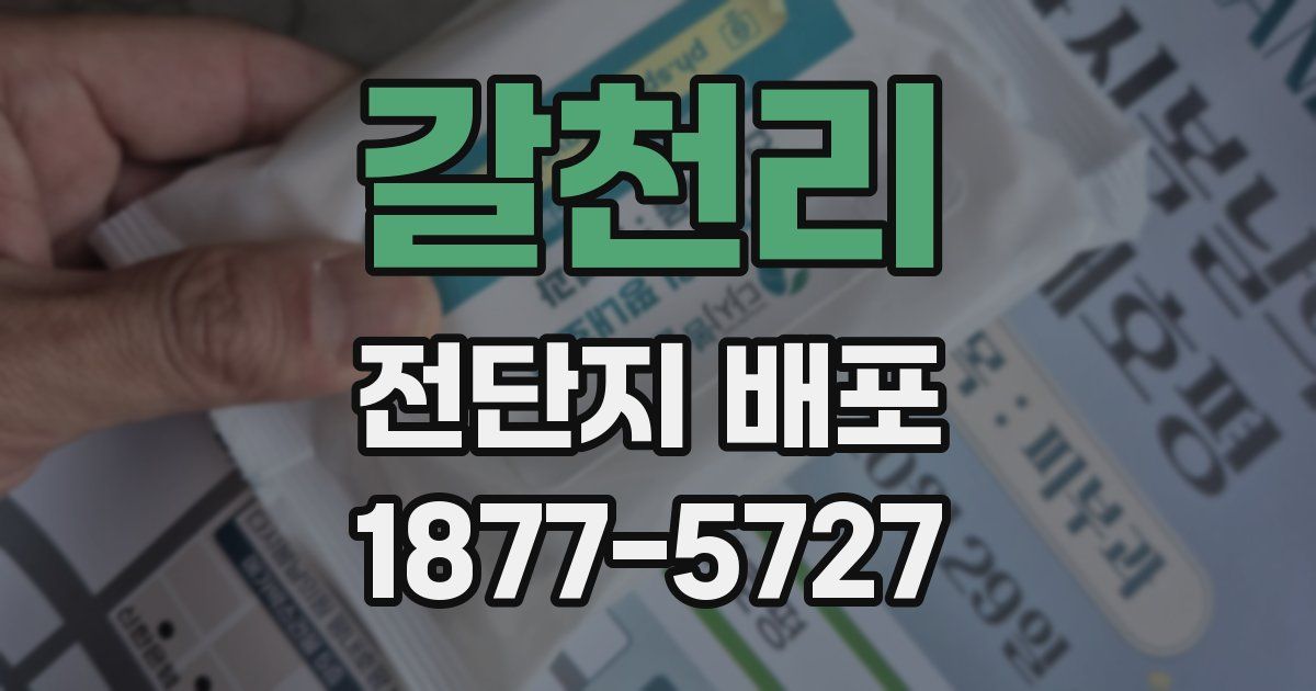 갈천리 전단지 배포