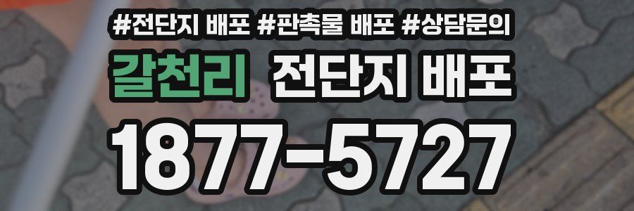 갈천리 전단지 배포
