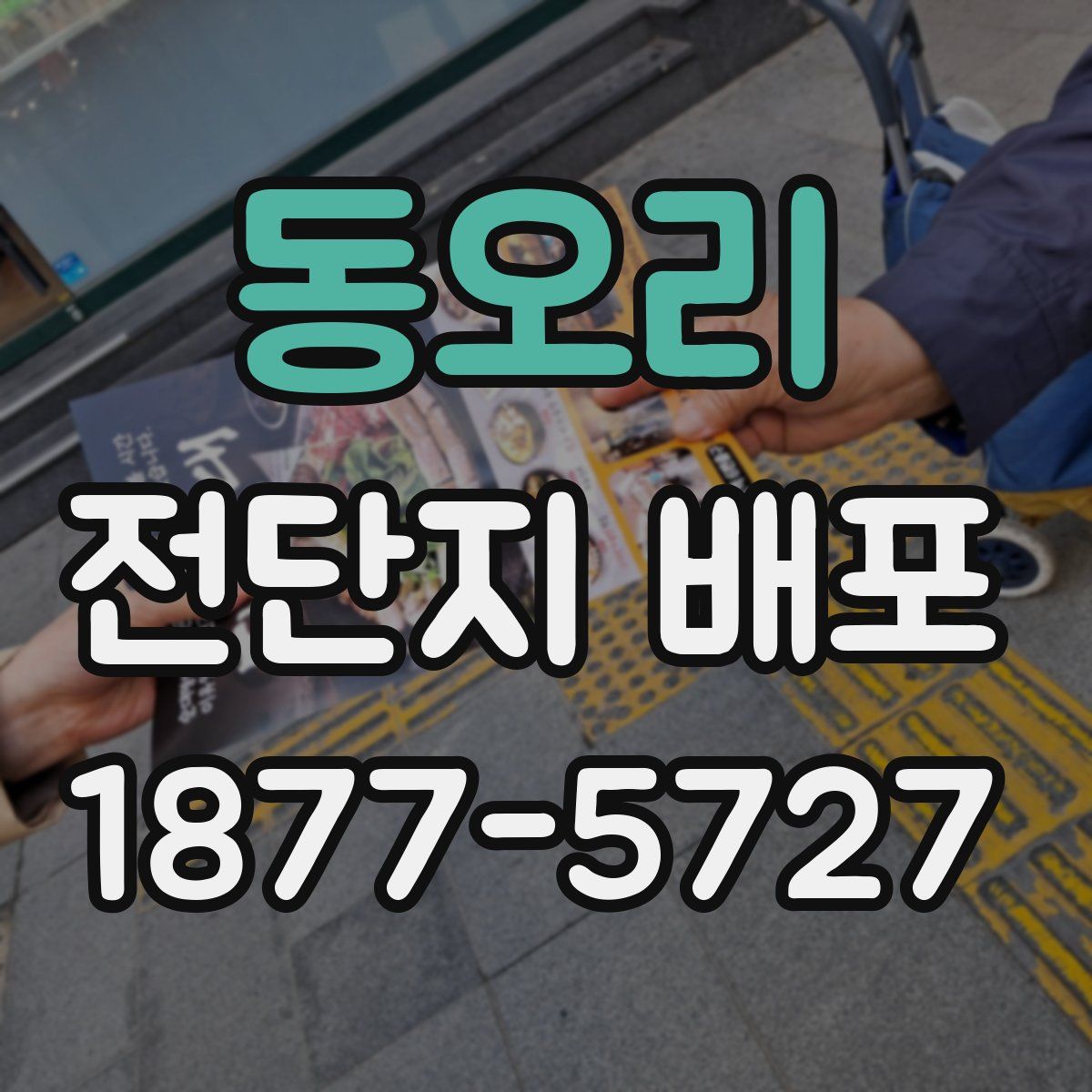 동오리 전단지 배포