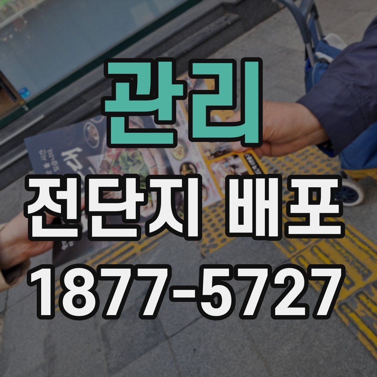 관리 전단지 배포