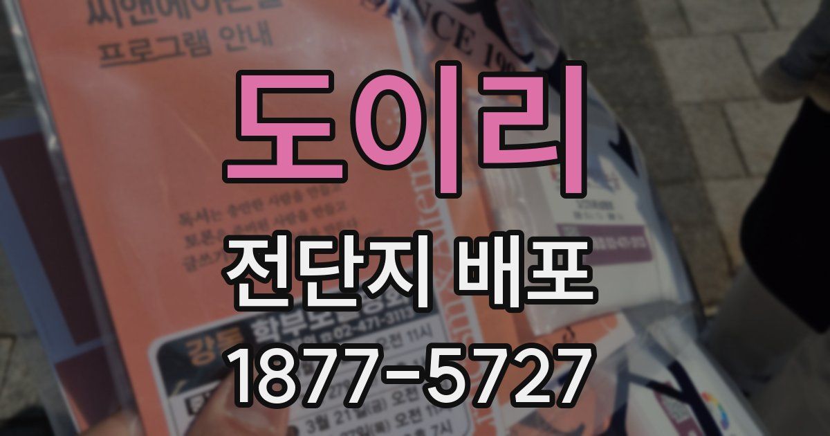 도이리 전단지 배포