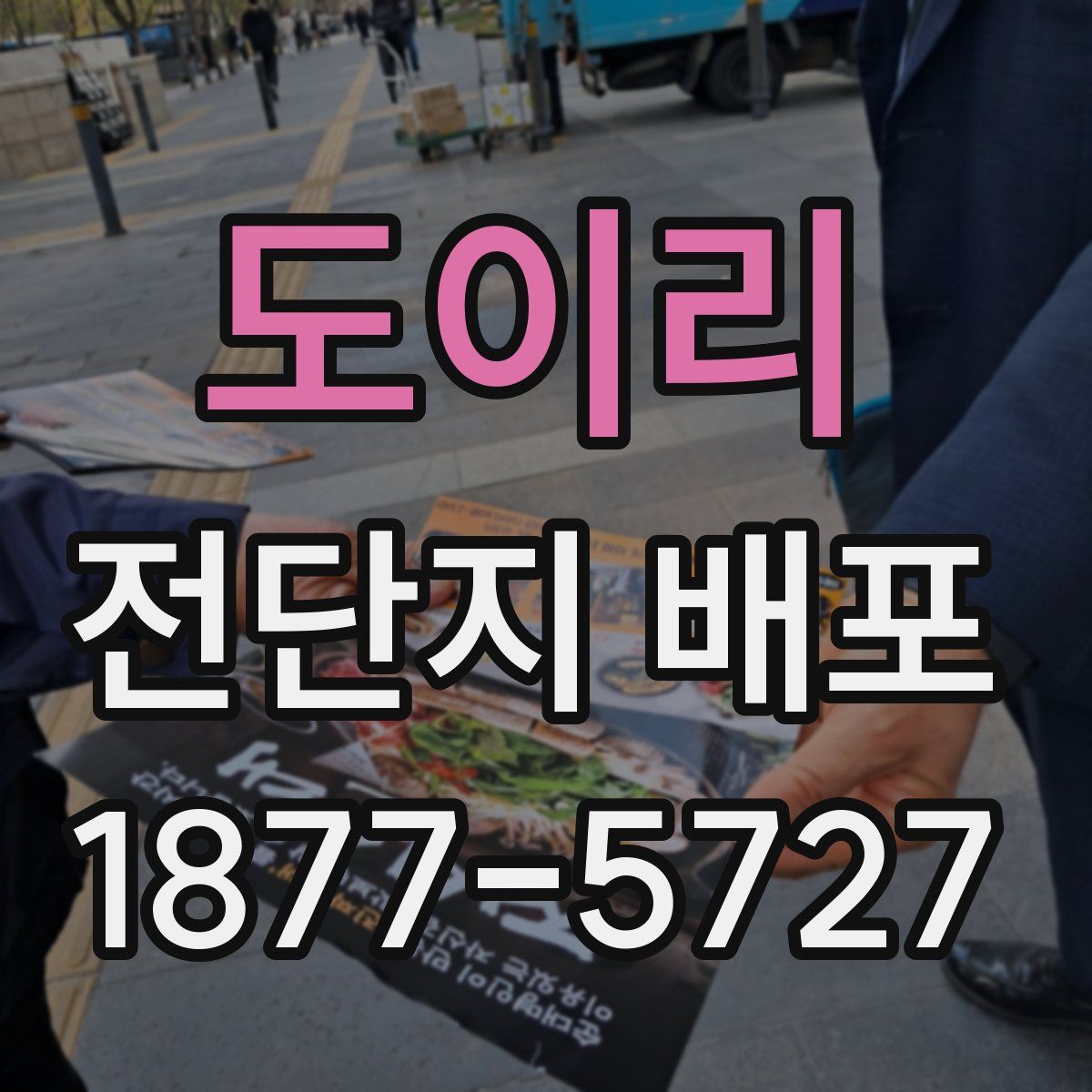 도이리 전단지 배포