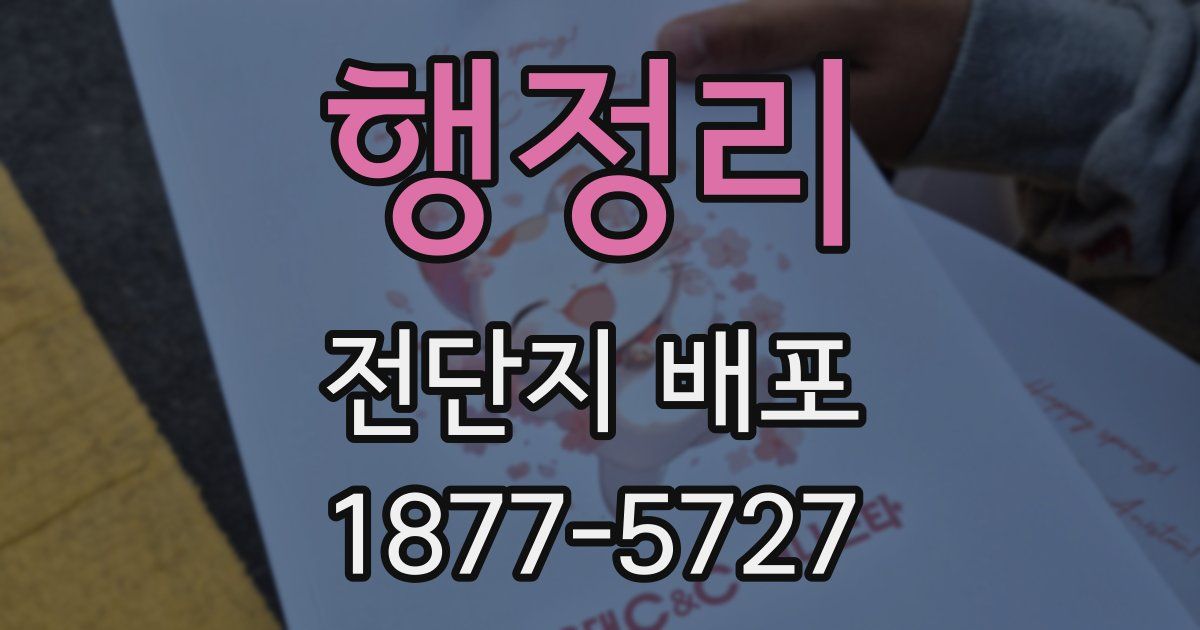 행정리 전단지 배포