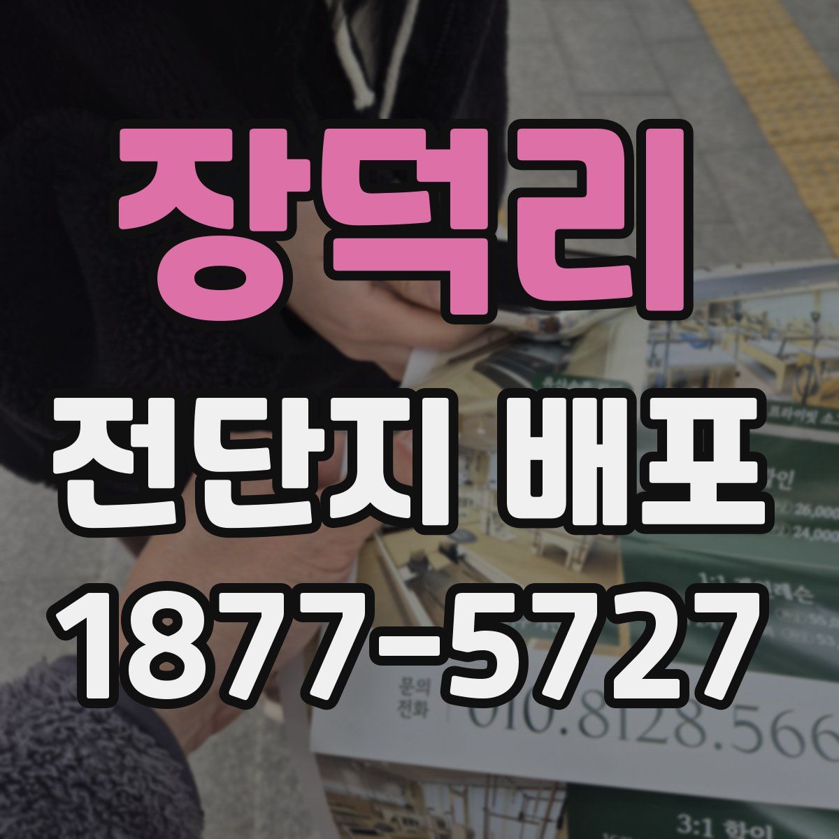 장덕리 전단지 배포