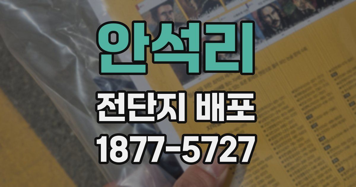 안석리 전단지 배포