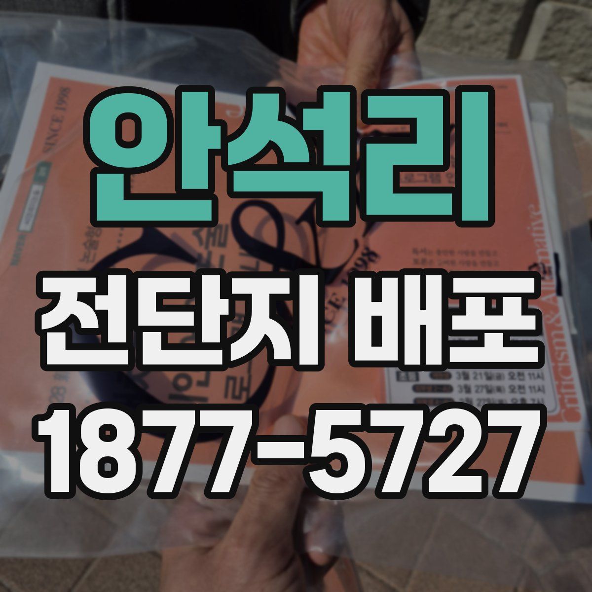 안석리 전단지 배포