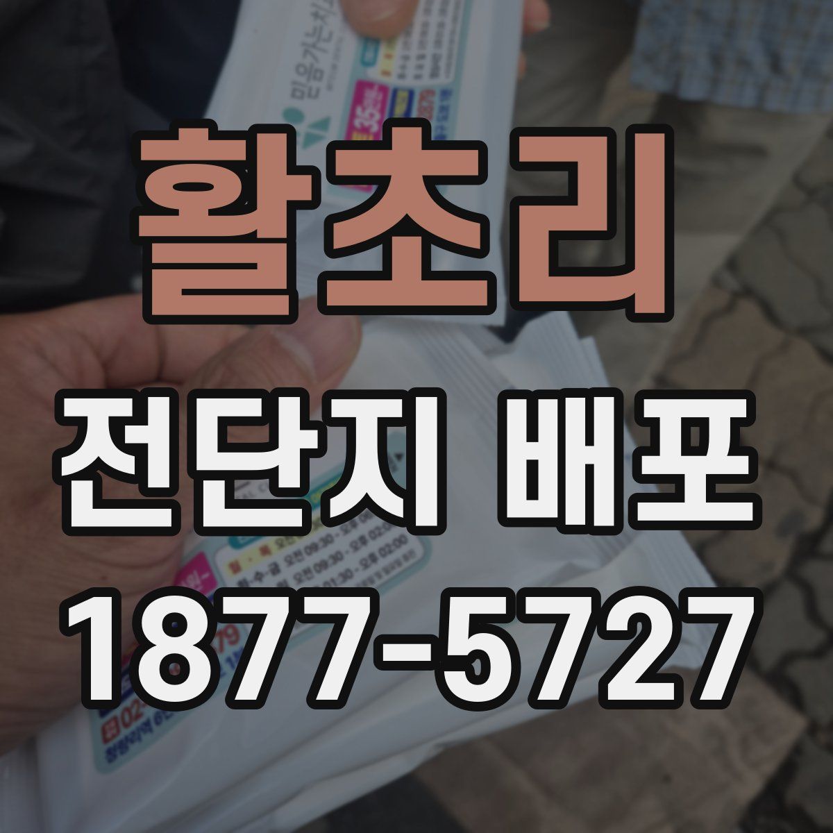 활초리 전단지 배포
