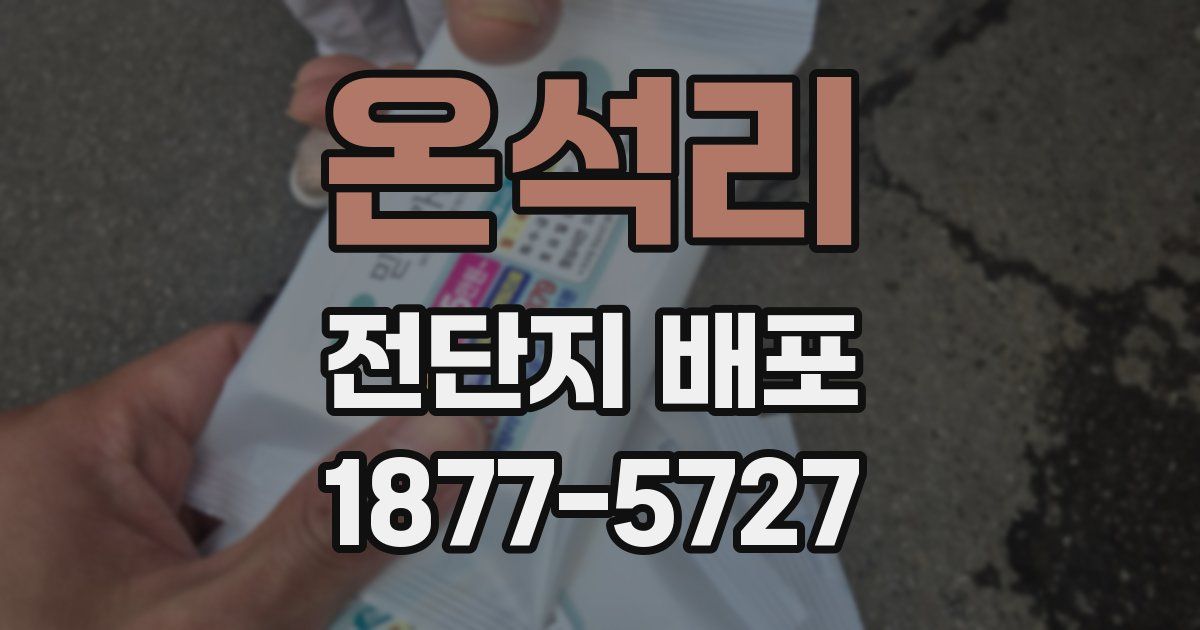온석리 전단지 배포