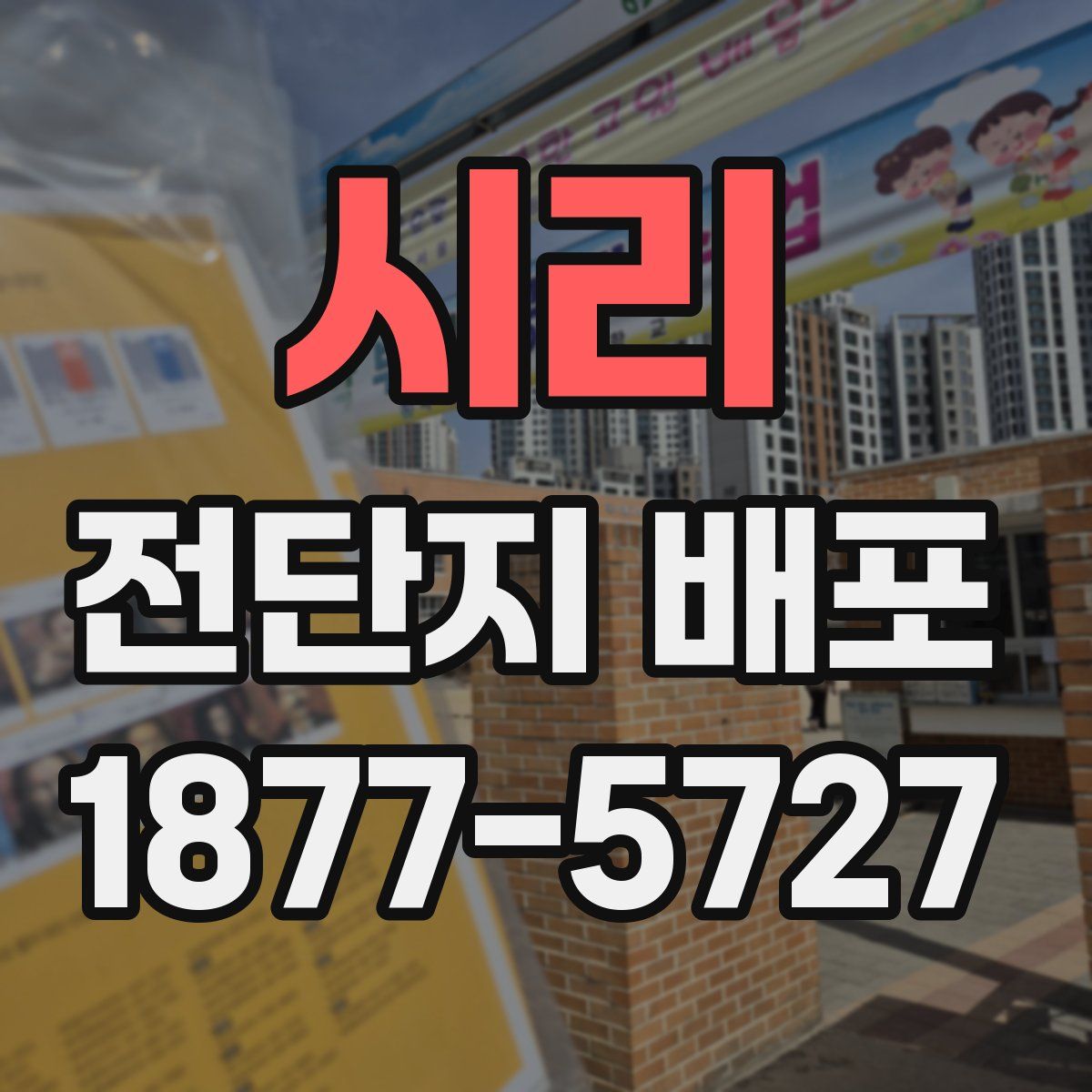 시리 전단지 배포