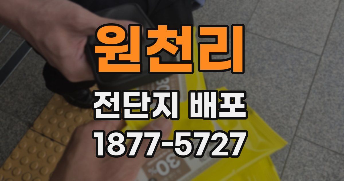 원천리 전단지 배포
