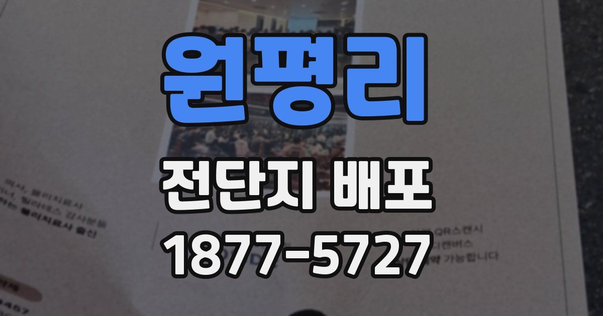 원평리 전단지 배포