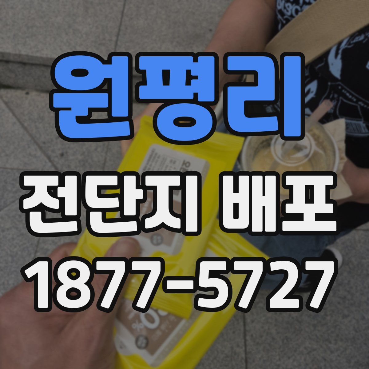 원평리 전단지 배포