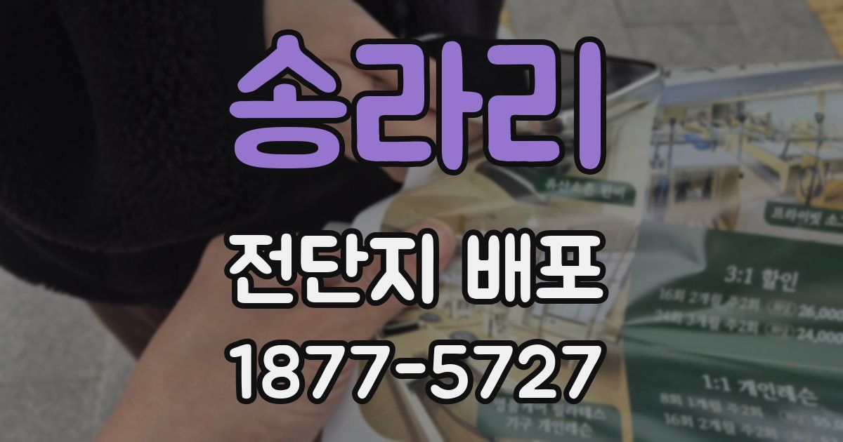 송라리 전단지 배포