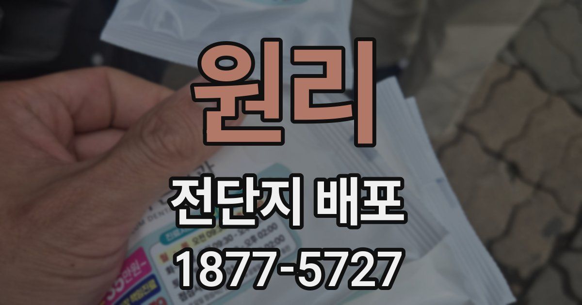 원리 전단지 배포