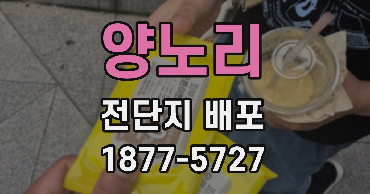 양노리 전단지 배포