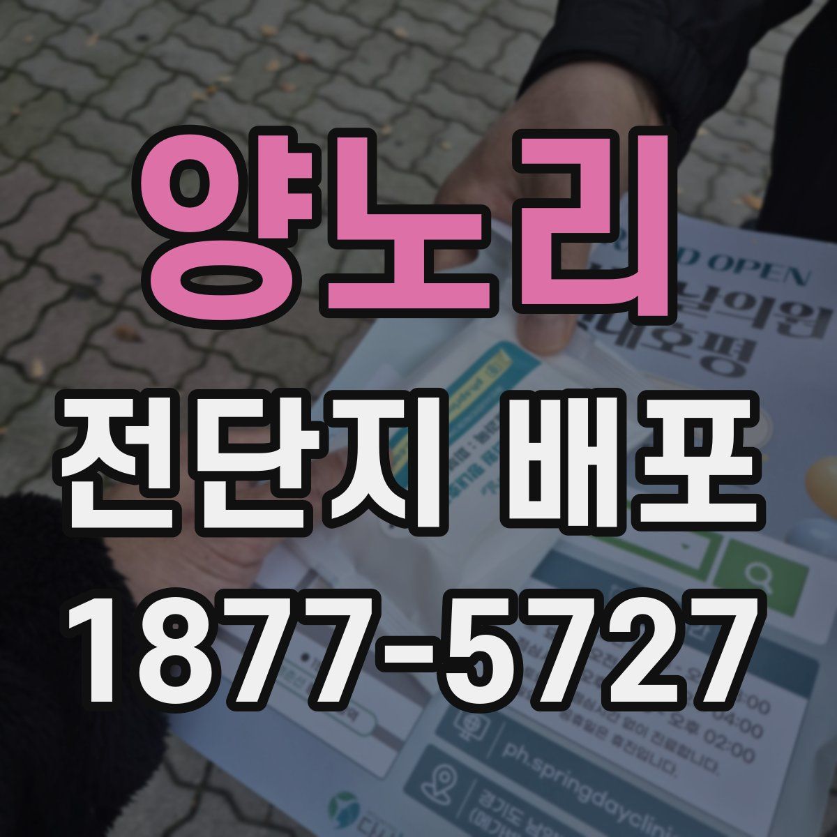 양노리 전단지 배포